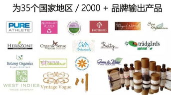 夏日躁动的荷尔蒙,是人间的毒药