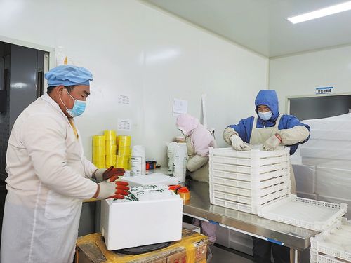 开足马力冲刺 开门红
